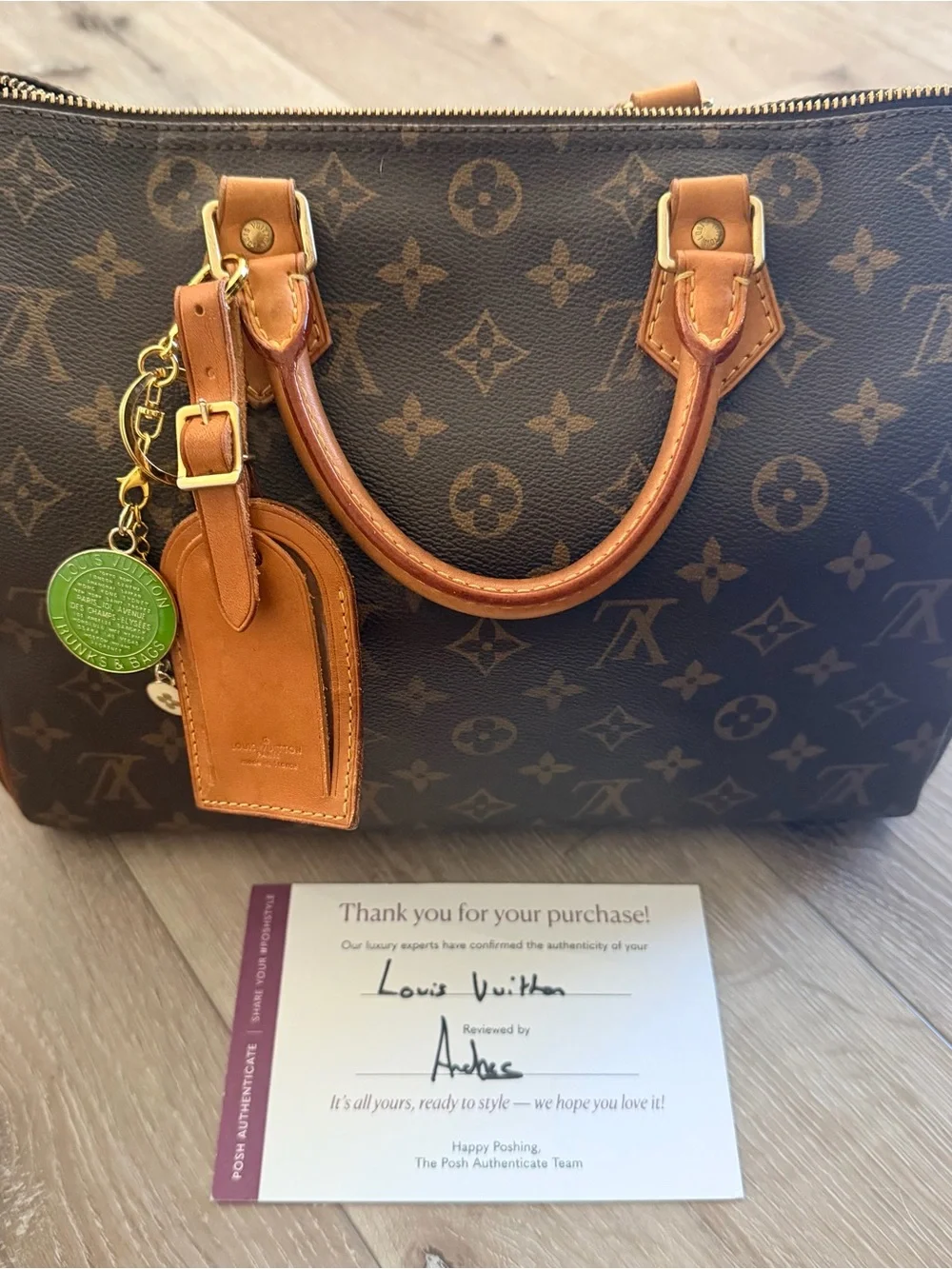 Louis Vuitton Monogram Canvas Top Handle Bag in Brown